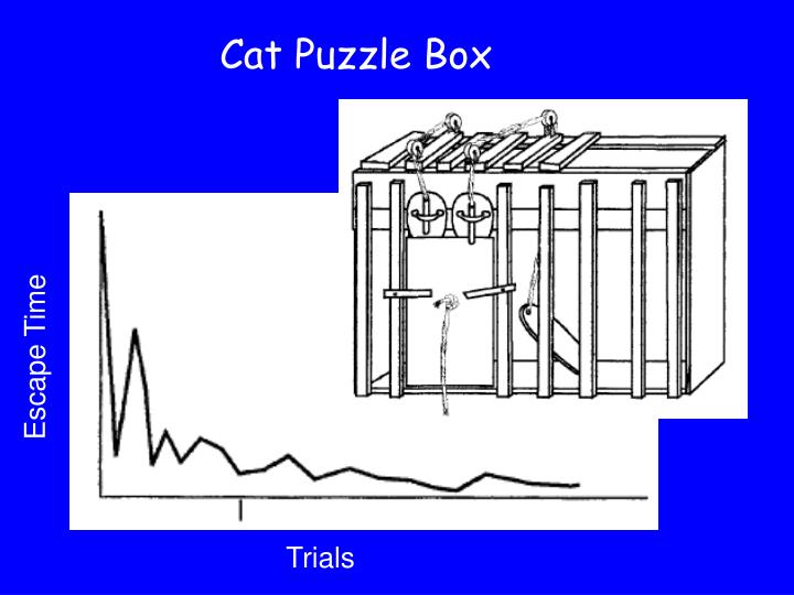 PPT Edward Thorndike PowerPoint Presentation ID1296511