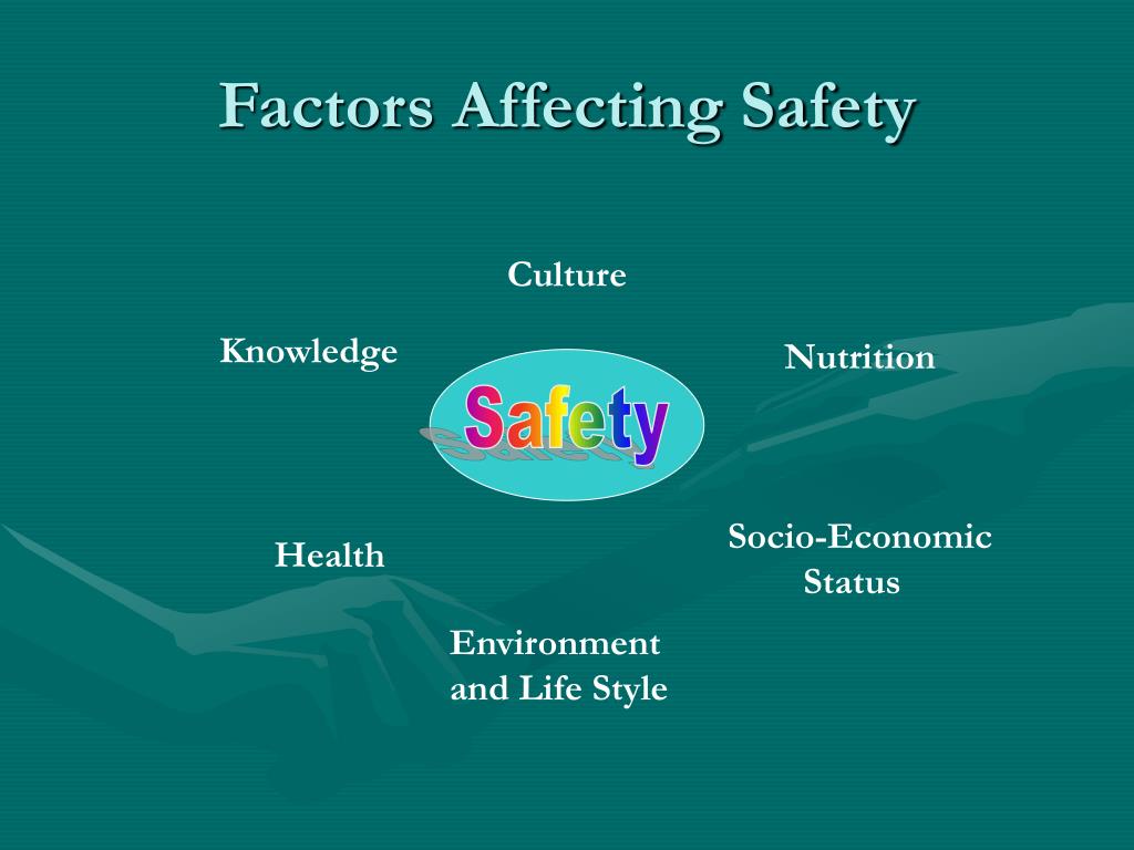  A diagram showing the factors affecting safety, which are culture, knowledge, nutrition, health, socio-economic status, and environment and life style.