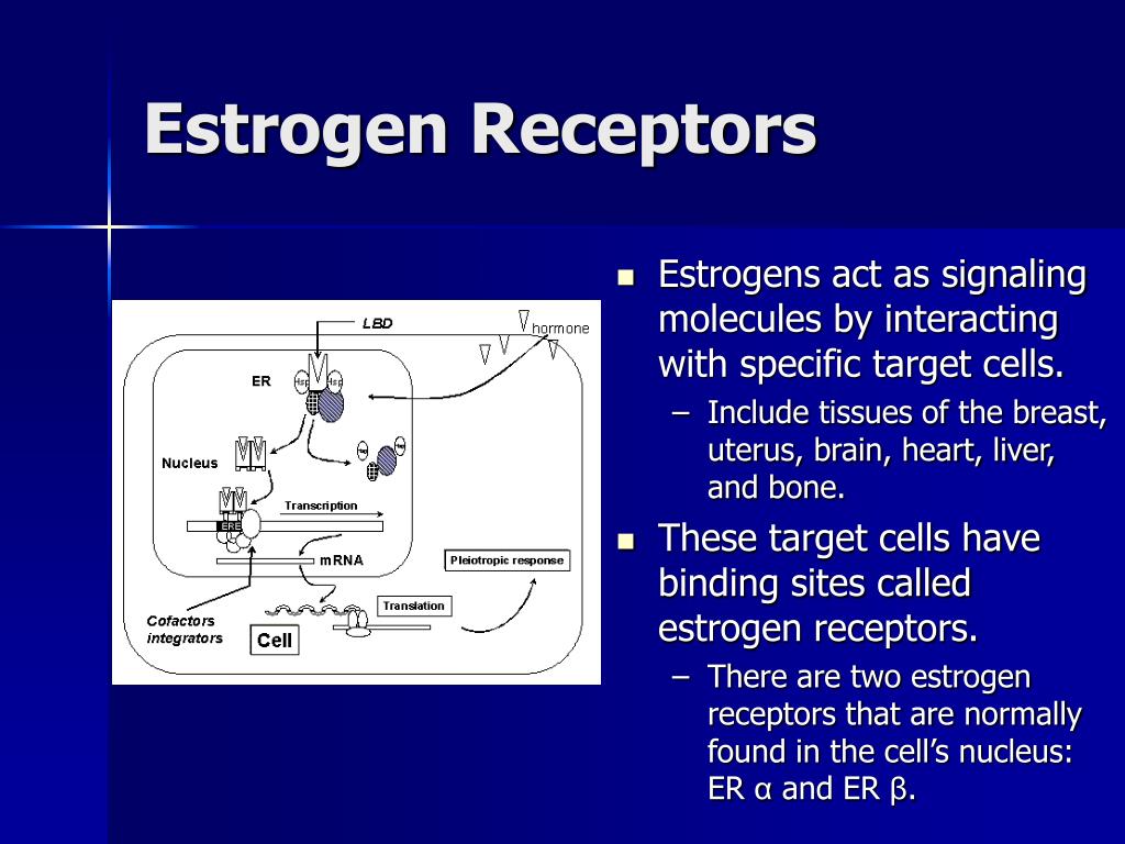 how to test for estrogen receptors