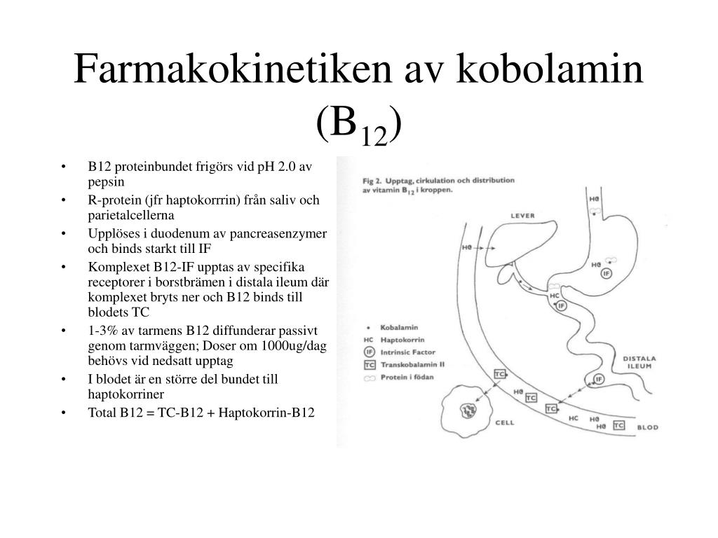 färja till