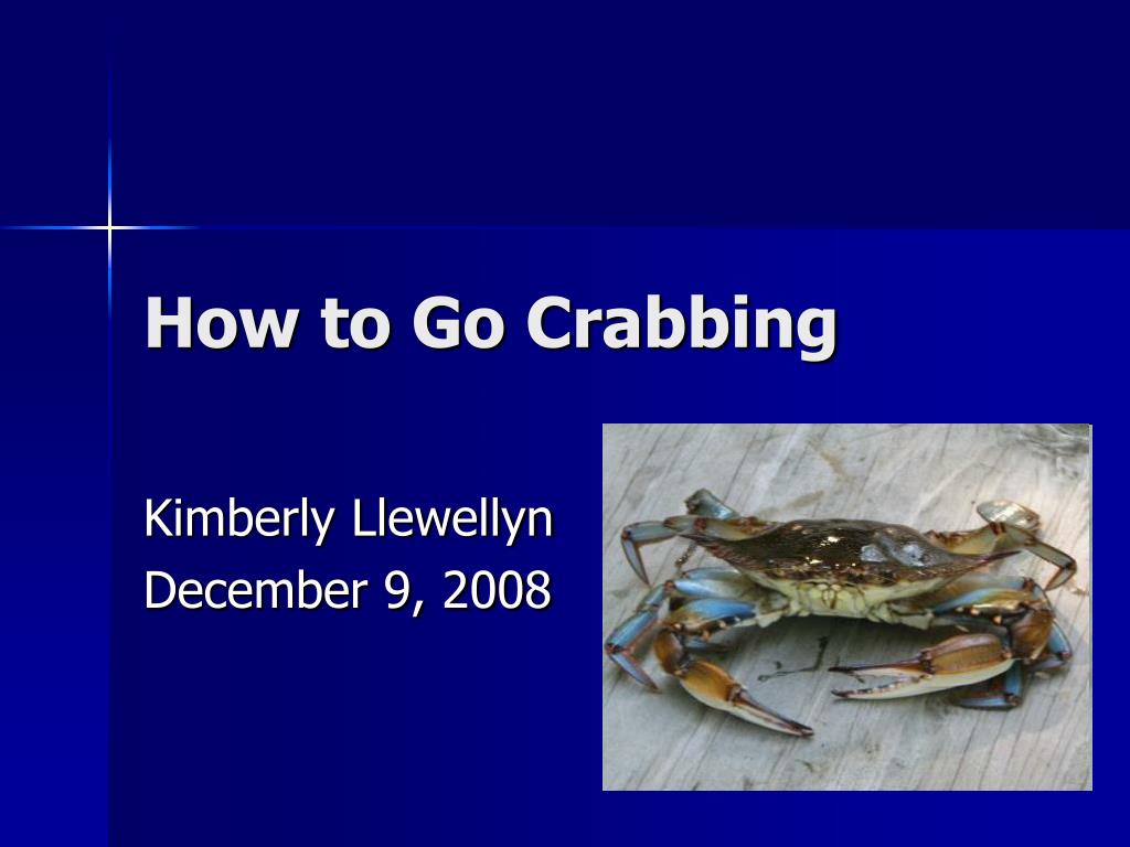 PPT - How to Go Crabbing PowerPoint Presentation, free download - ID:1301629