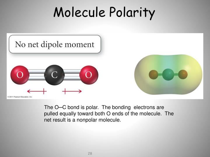 PPT - Molecular Geometry and Polarity PowerPoint Presentation - ID:1302654