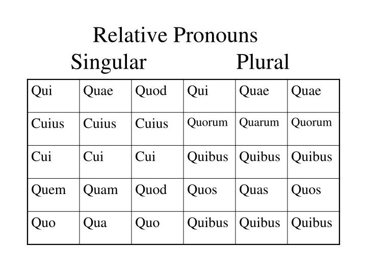 Latin Relative Pronoun Chart