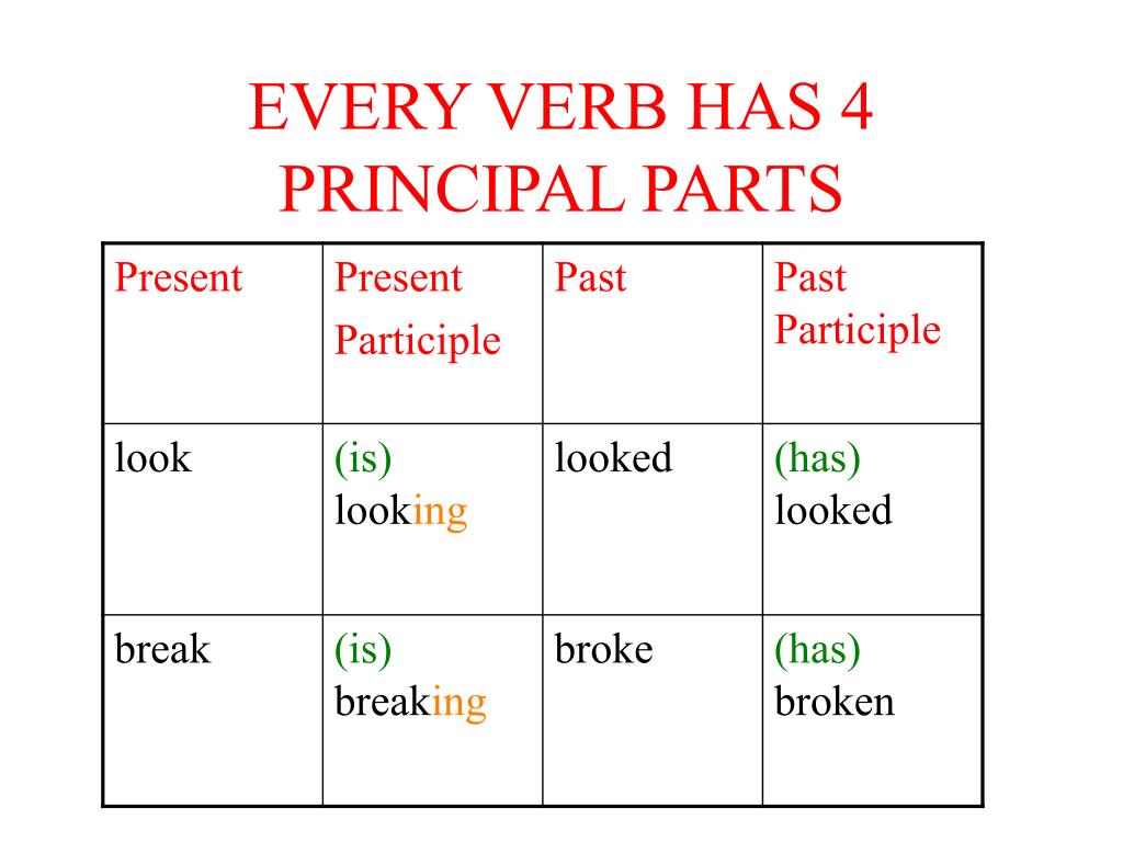 Principal Verb Parts Worksheet