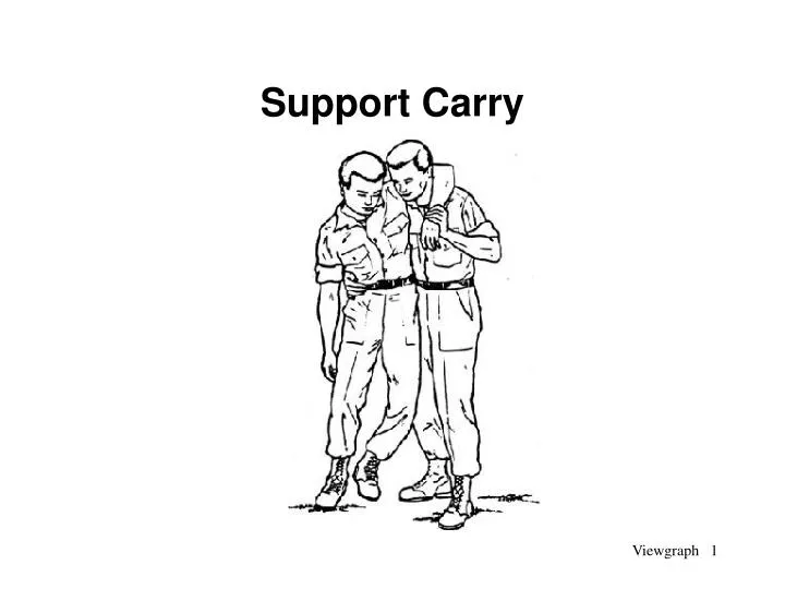 Hard Carry Support Chapter 19 PPT - Support Carry PowerPoint Presentation, free download - ID:1306652