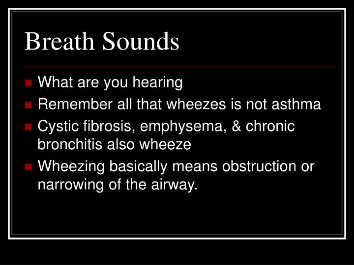 PPT Breath Sounds PowerPoint Presentation ID1310106