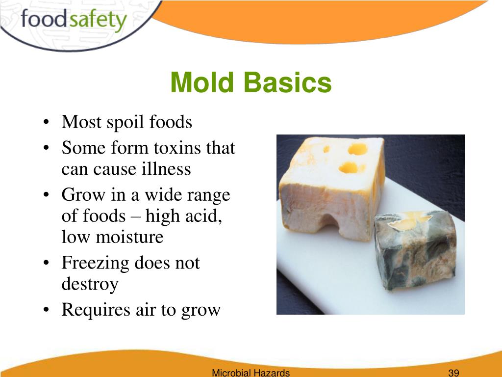PPT - Microbiological hazards in food production 