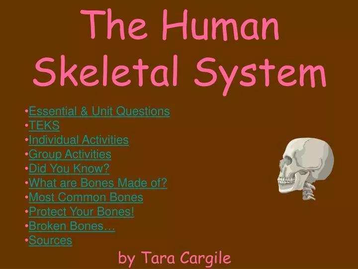powerpoint presentation of skeletal system