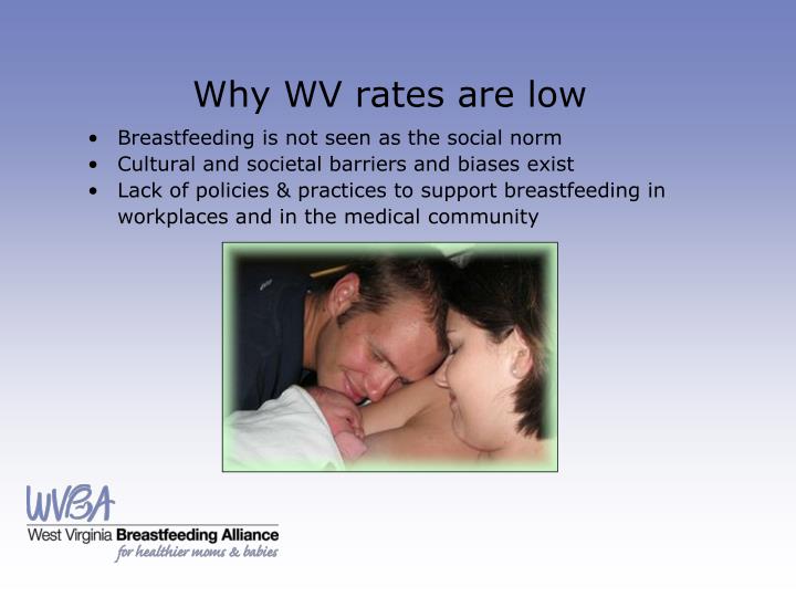 breastfeeding and the workplace essay Free essay: breastfeeding in public: laws that make public breastfeeding legal and prohibit companies from banning it in the workplace breastfeeding essay. breastfeeding and the workplace essay Free essay: breastfeeding in public: laws that make public breastfeeding legal and prohibit companies from banning it in the workplace breastfeeding essay.