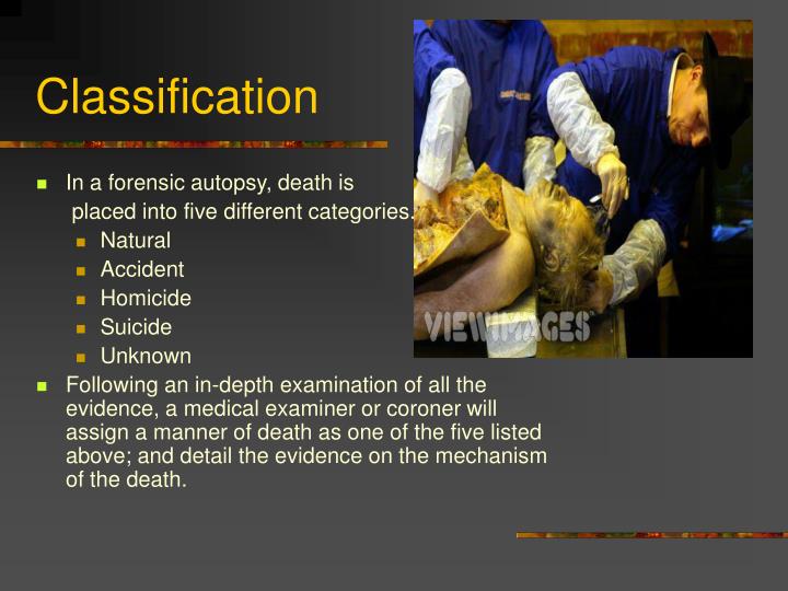 PPT - The Forensic Autopsy PowerPoint Presentation - ID:1316679