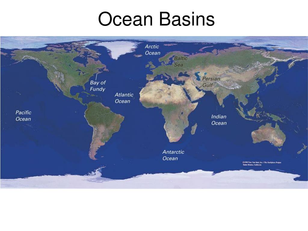 essay about ocean basins