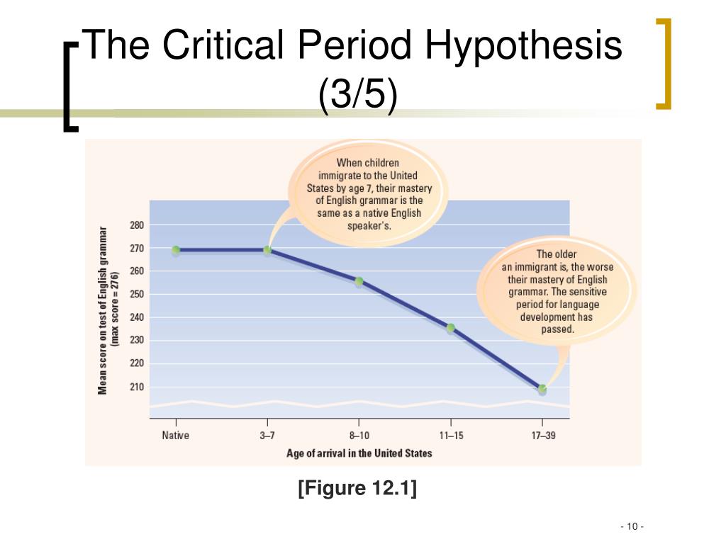 which two variables does the critical period hypothesis directly link