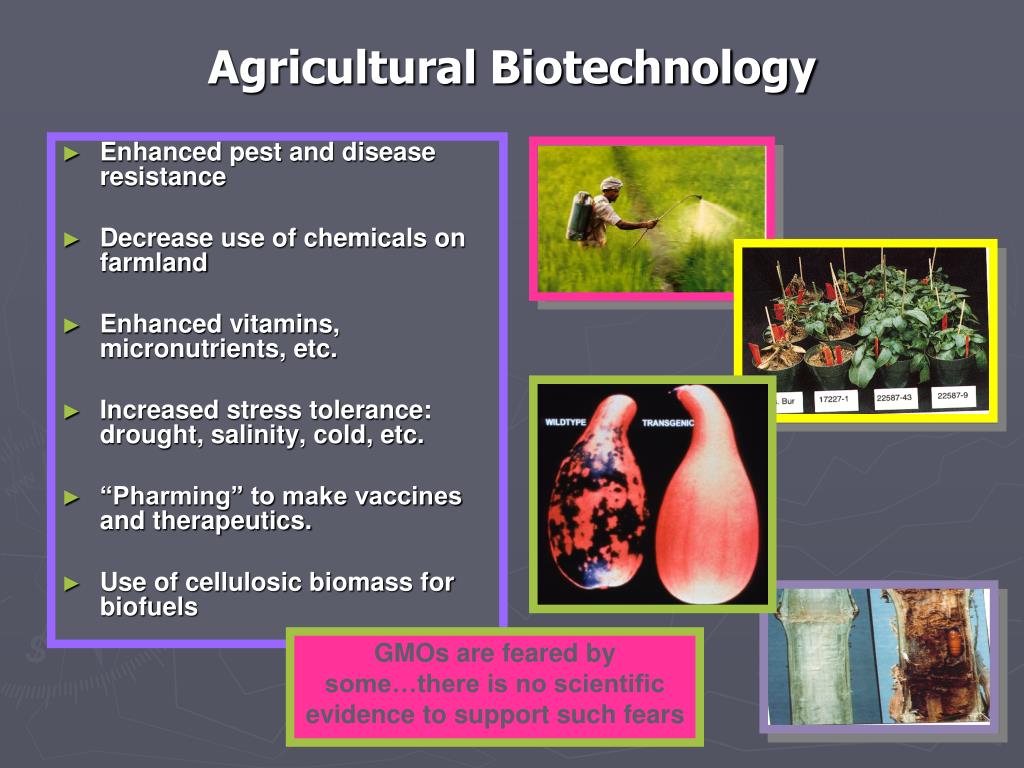 PPT Biotechnology Careers HighTech, HighWage Jobs PowerPoint