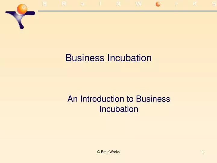 business incubation n.