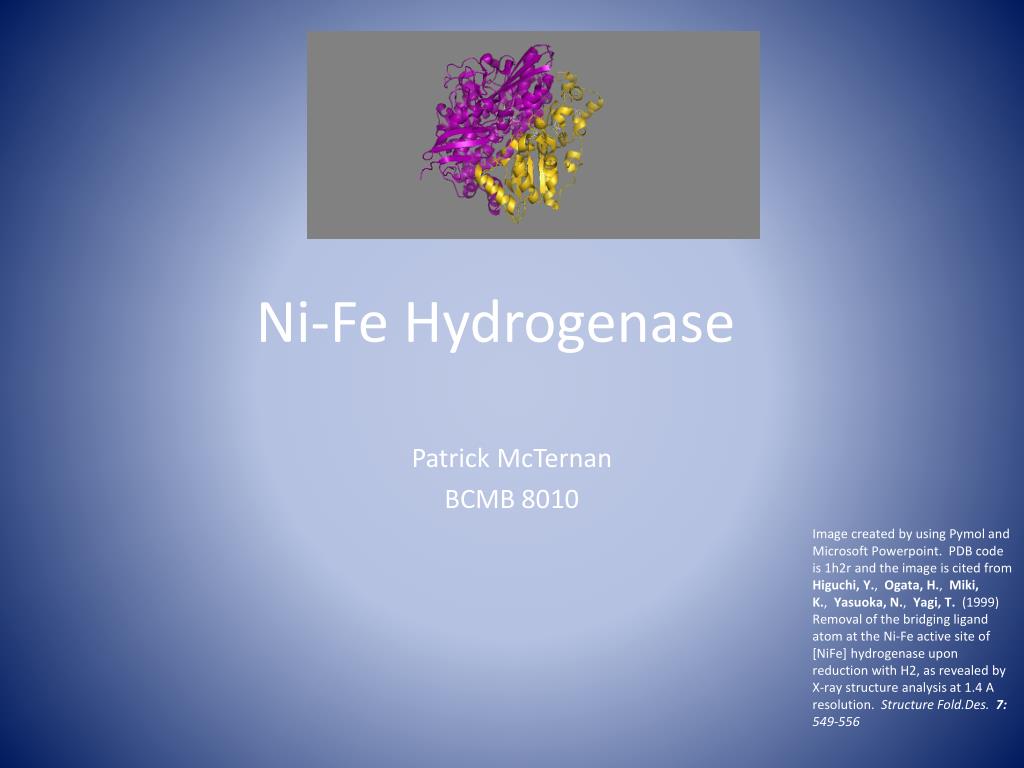 Ppt Ni Fe Hydrogenase Powerpoint Presentation Free Download Id