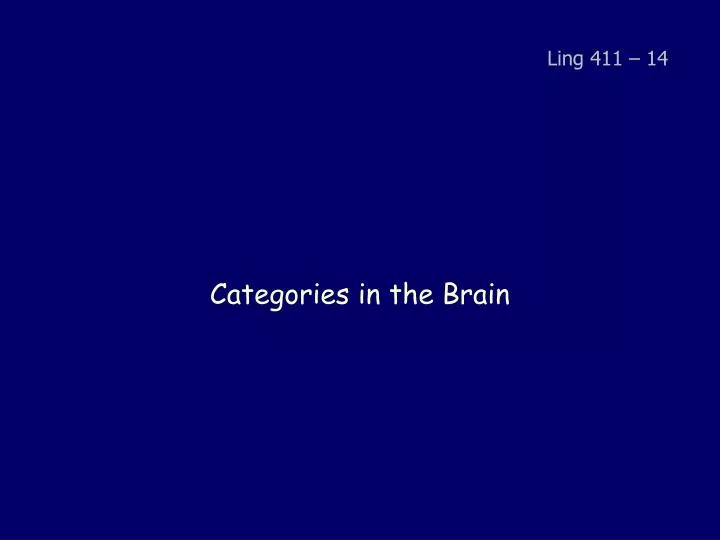 categories in the brain n.