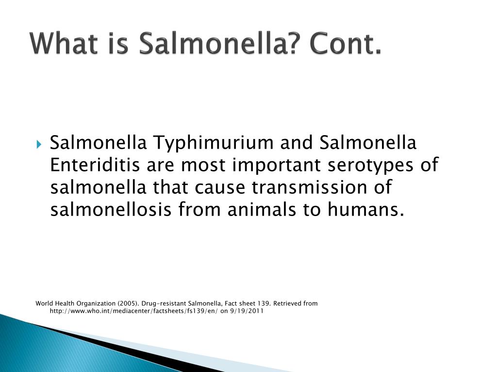 PPT Salmonella Poisoning know the facts, stay healthy. PowerPoint