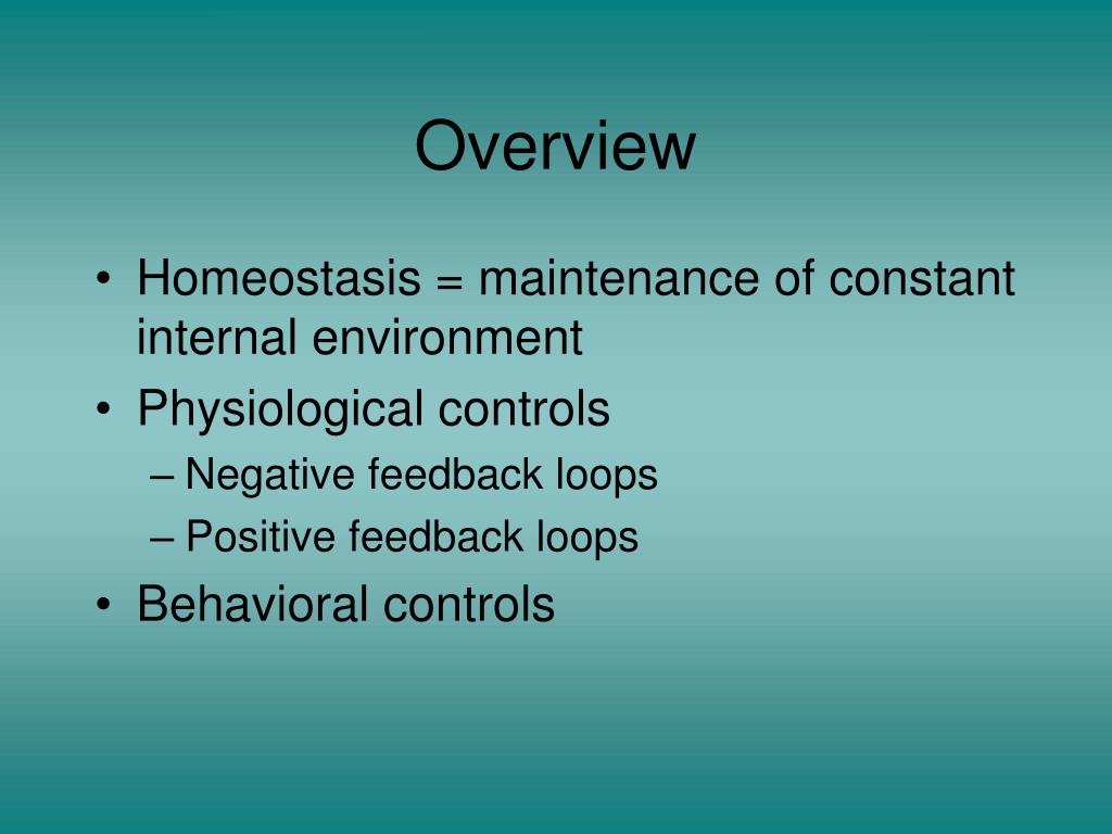 PPT - Homeostasis PowerPoint Presentation, free download - ID:1327783