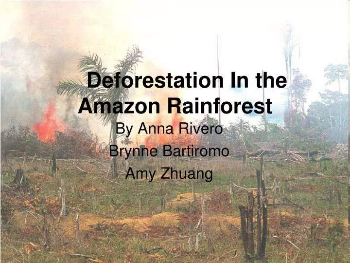 deforestation in the amazon rainforest n.
