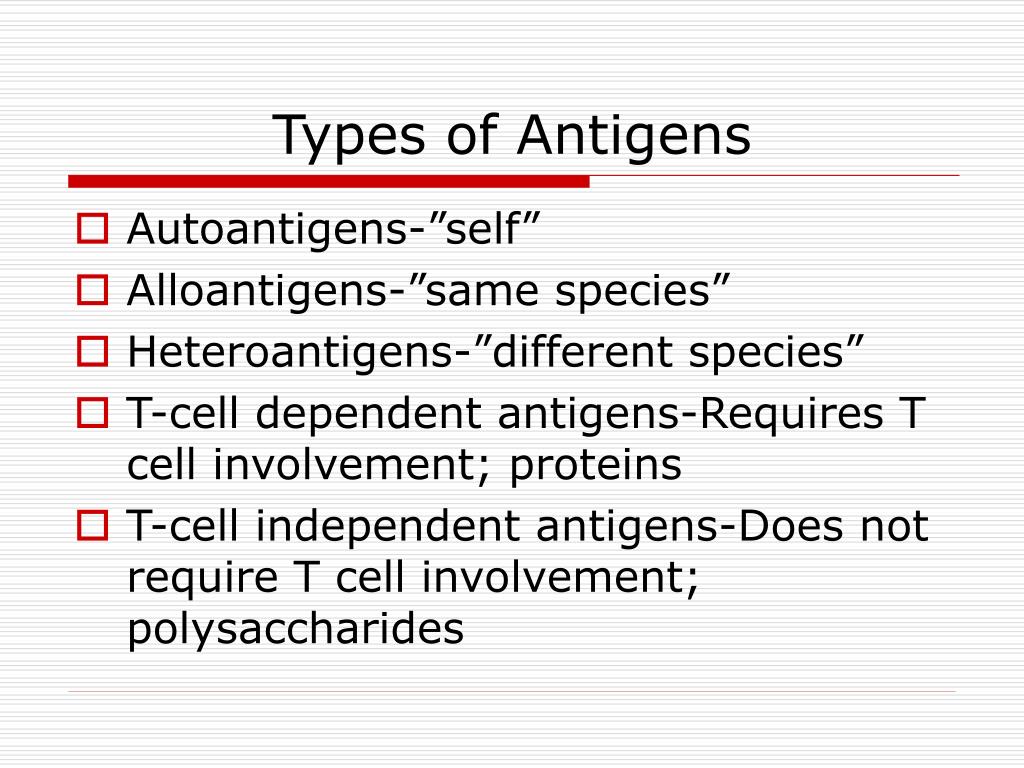 PPT - Principles of Immunology Antigens 2/9/06 PowerPoint Presentation ...