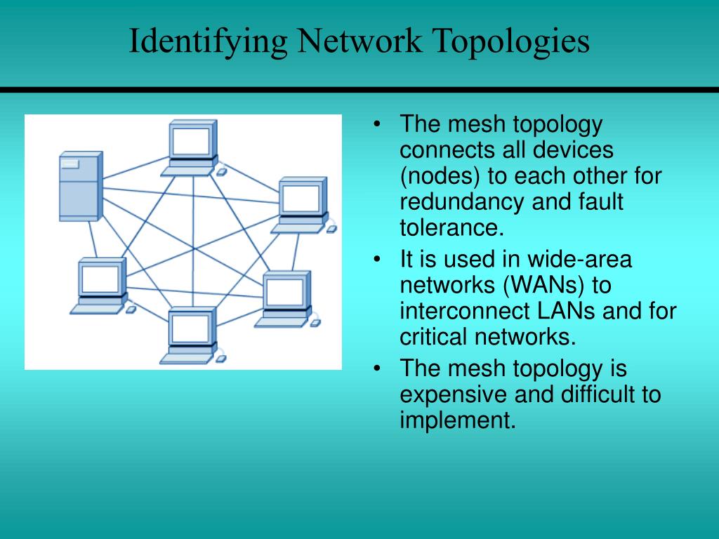 PPT - Chapter 3 Physical Components of a Network PowerPoint ...