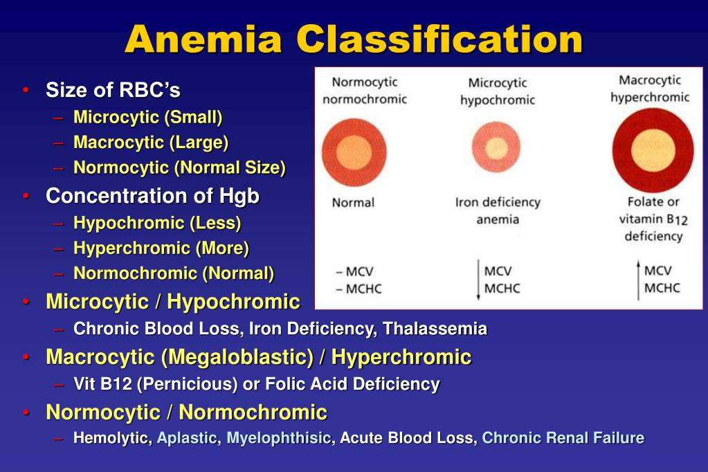 Anemia Classification.