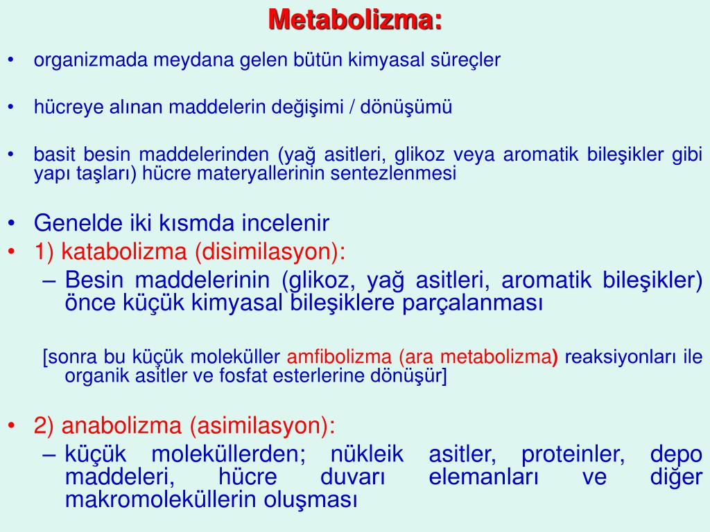 PPT - Metabolizma: PowerPoint Presentation, free download - ID:1332760
