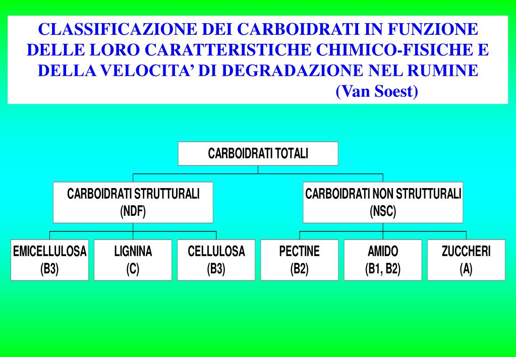 PPT CARBOIDRATI PowerPoint Presentation Free Download ID 1334031 PPT CARBOIDRATI PowerPoint Presentation Free Download ID 1334031