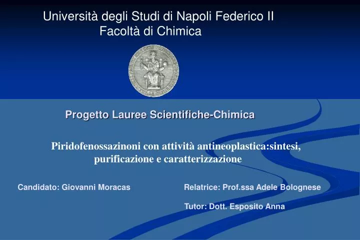 PPT - Università degli Studi di Napoli Federico II Facoltà di Chimica  PowerPoint Presentation - ID:1336808
