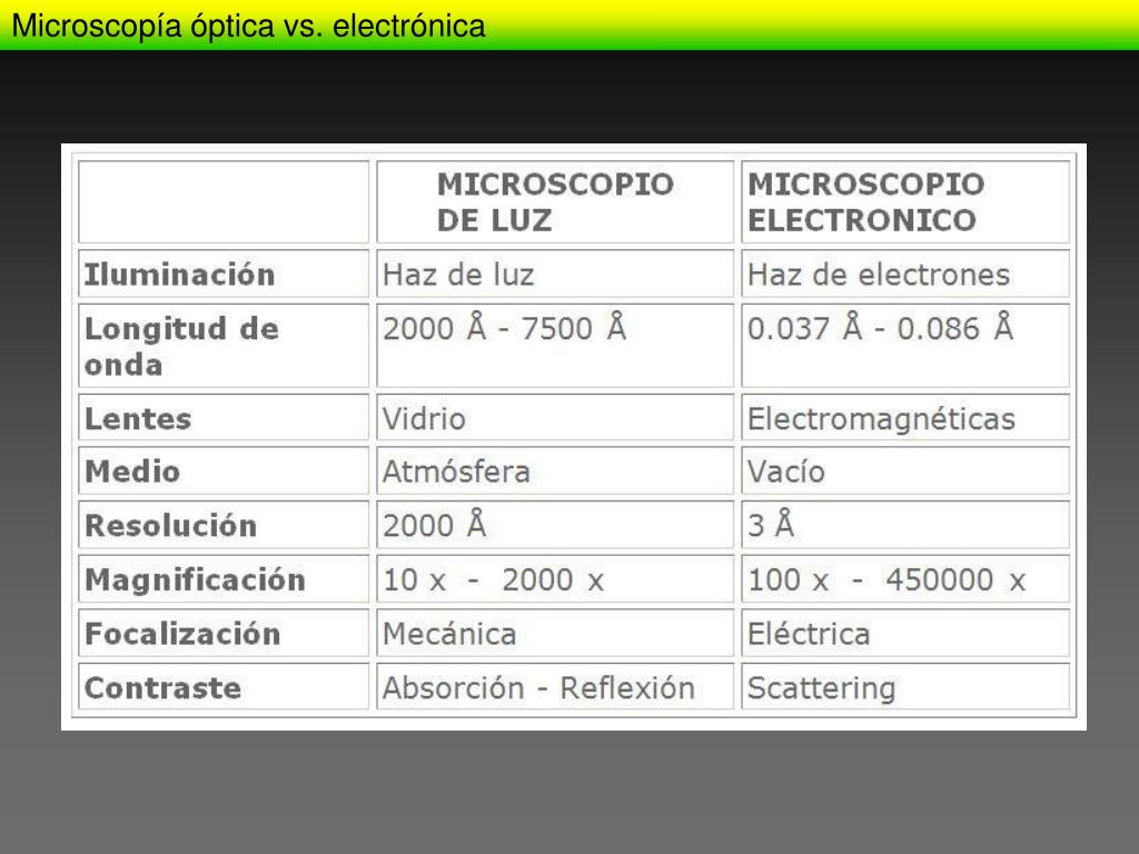 PPT - MICROSCOPíA Y TÉCNICAS DE ESTUDIO CELULAR PowerPoint Presentation -  ID:1338053