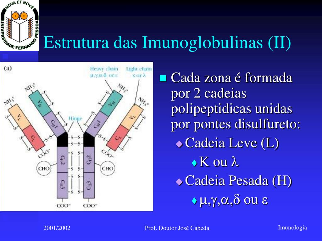 PPT - Immunologia PowerPoint Presentation, free download - ID:1339475