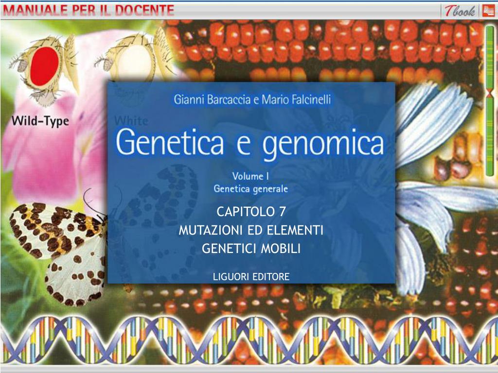 PPT - CAPITOLO 7 MUTAZIONI ED ELEMENTI GENETICI MOBILI PowerPoint  Presentation - ID:1342757