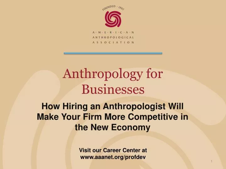 anthropology for businesses n.