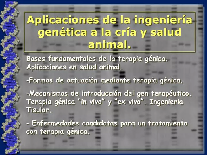 Ppt Aplicaciones De La Ingenieria Genetica A La Cria Y Salud