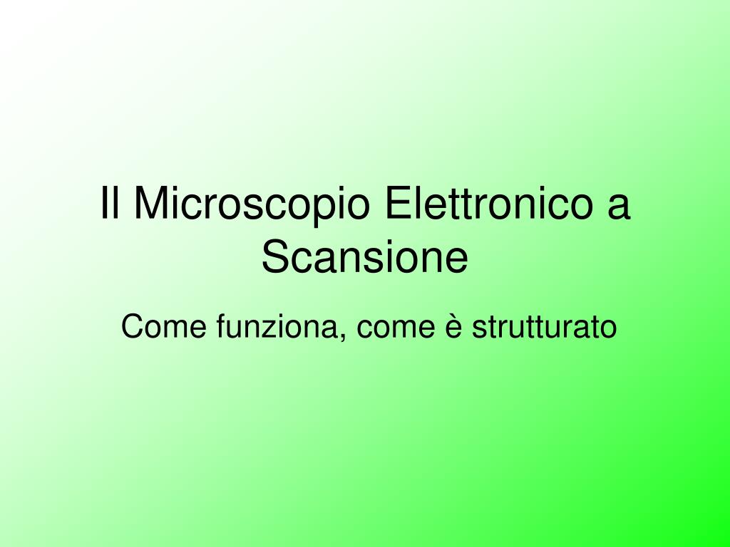PPT - Il Microscopio Elettronico a Scansione PowerPoint Presentation, free  download - ID:1343751