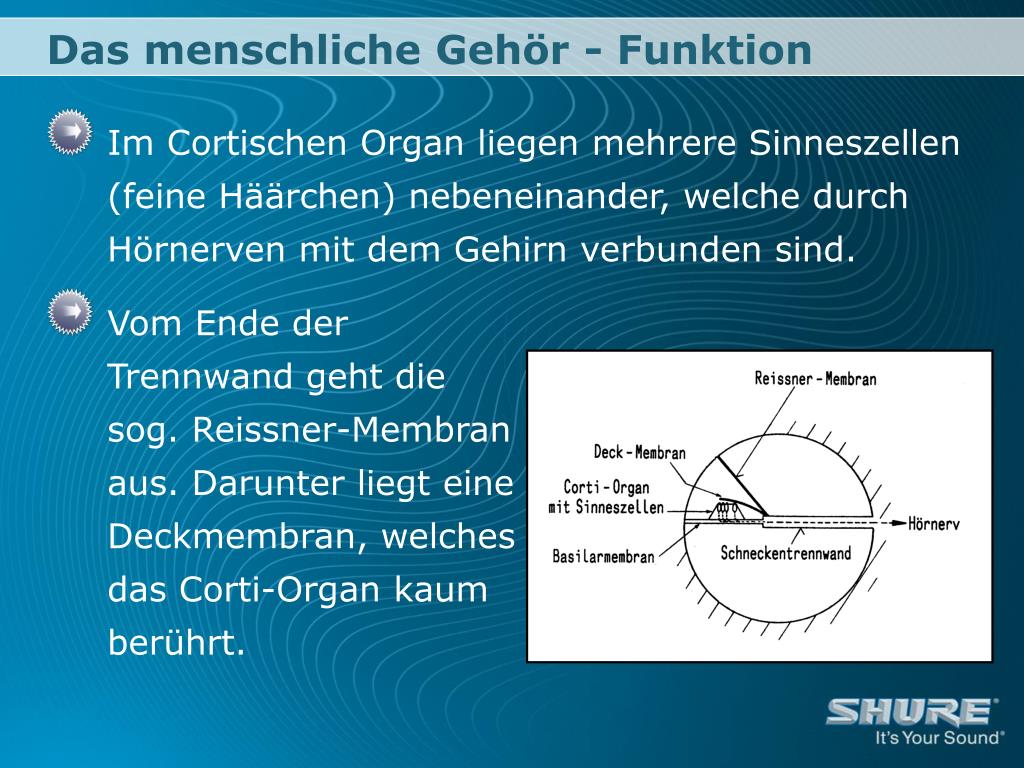 PPT dB und andere Mysterien PowerPoint Presentation
