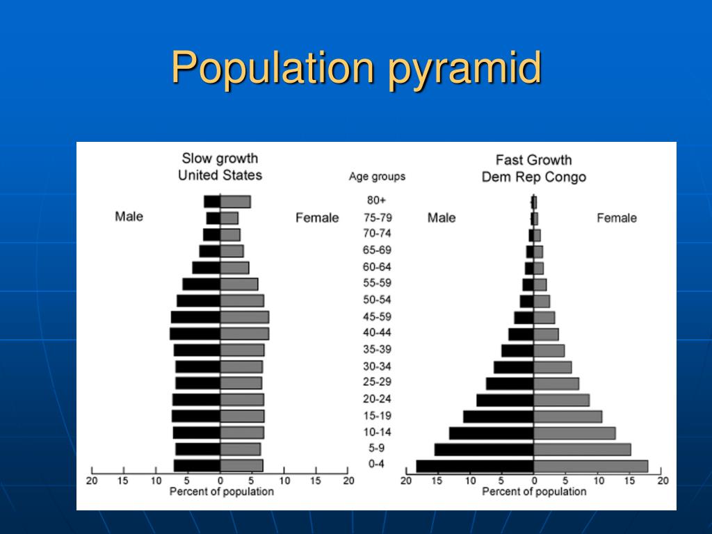 PPT - Population Growth PowerPoint Presentation, free download - ID:1344498