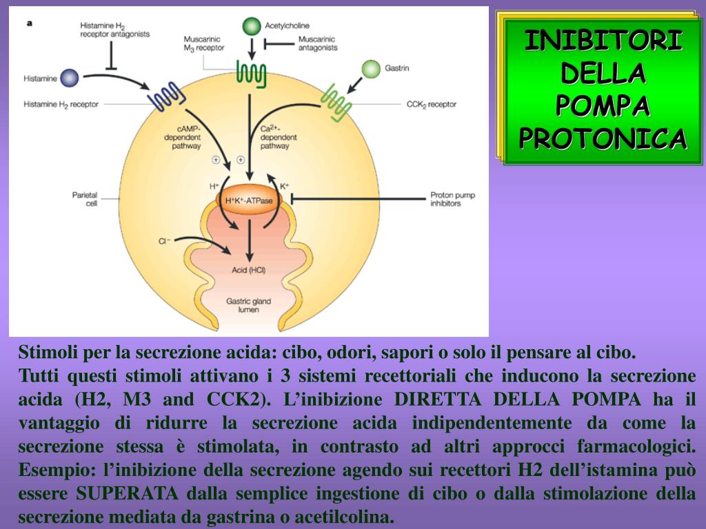 PPT - FARMACI CHE INTERFERISCONO CON IL SISTEMA GASTROINTESTINALE  PowerPoint Presentation - ID:1345602