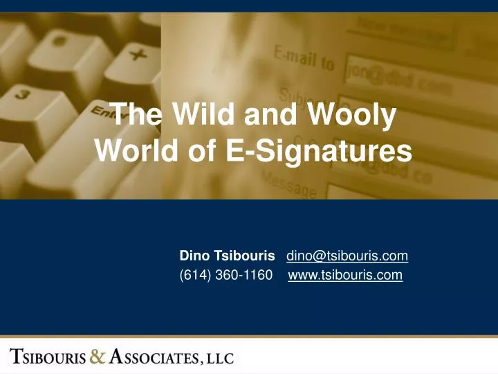 the wild and wooly world of e signatures n.