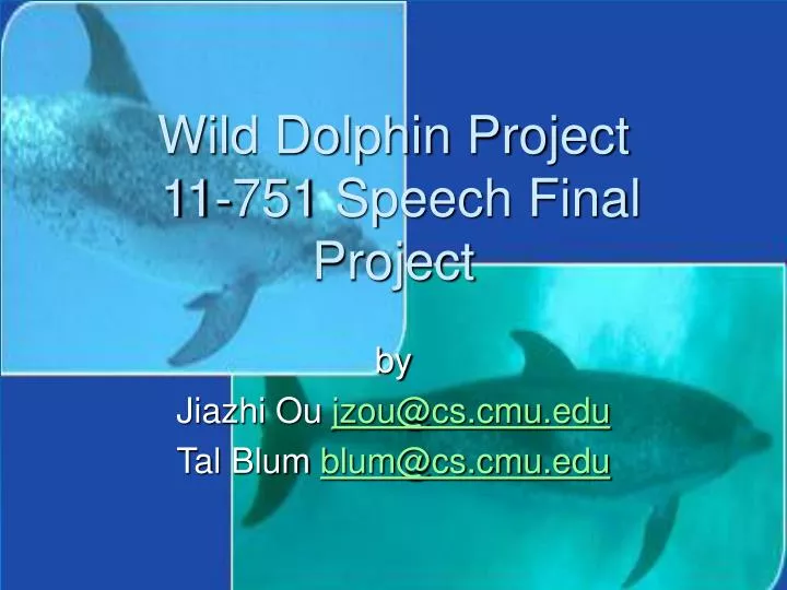 wild dolphin project 11 751 speech final project n.