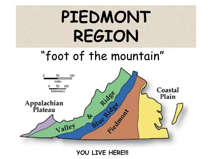 PPT PIEDMONT REGION PowerPoint Presentation, free download ID134718