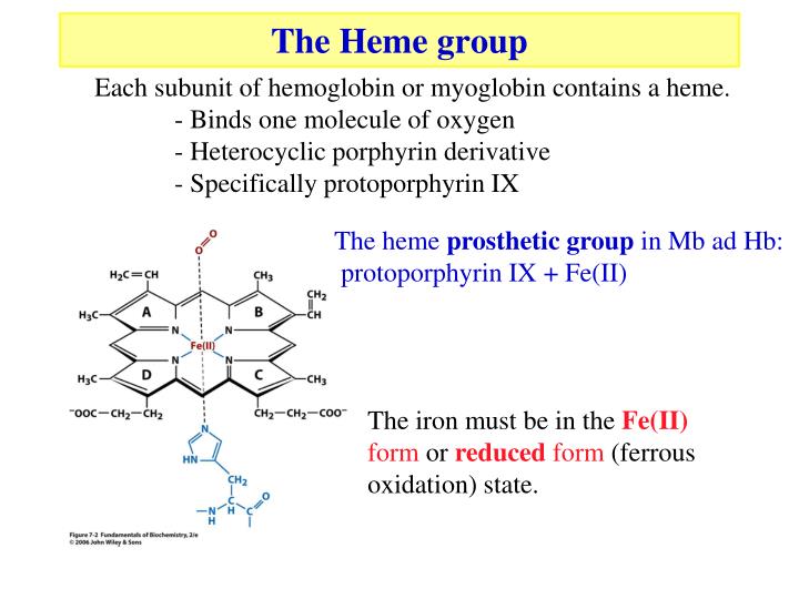 PPT Globins PowerPoint Presentation ID1348492