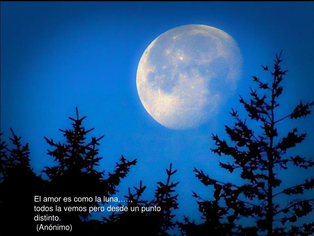 The moon is beautiful. Луна. Дети Луны. Полнолуние. Полная Луна.