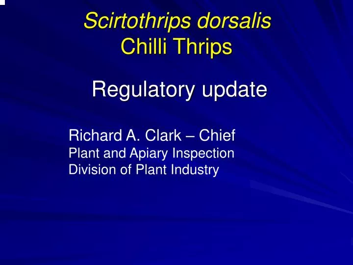 scirtothrips dorsalis chilli thrips n.