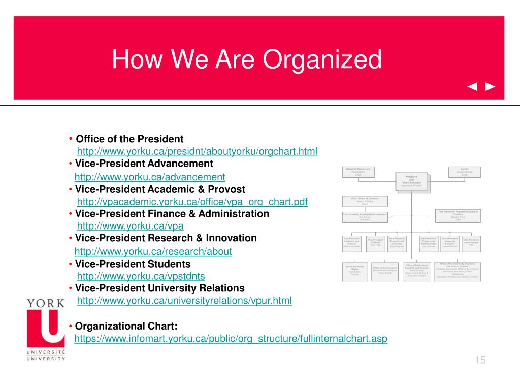 York University Organizational Chart