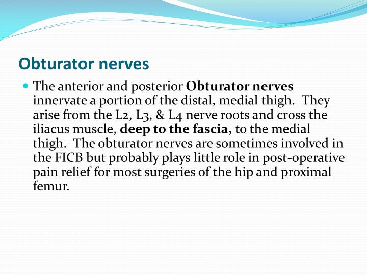 Obturator nerve block ppt to pdf