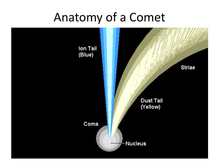 PPT - Asteroids, Comets and Meteorites PowerPoint Presentation - ID:1353078