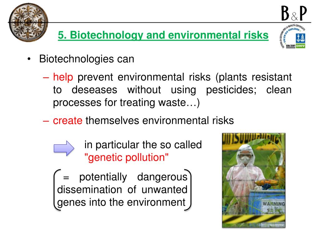 PPT BIOTECHNOLOGY, PATENTS AND RISKS FOR THE ENVIRONMENT EU and China