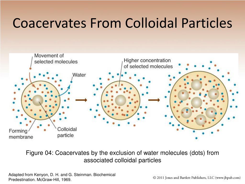 oparin coacervate experiment