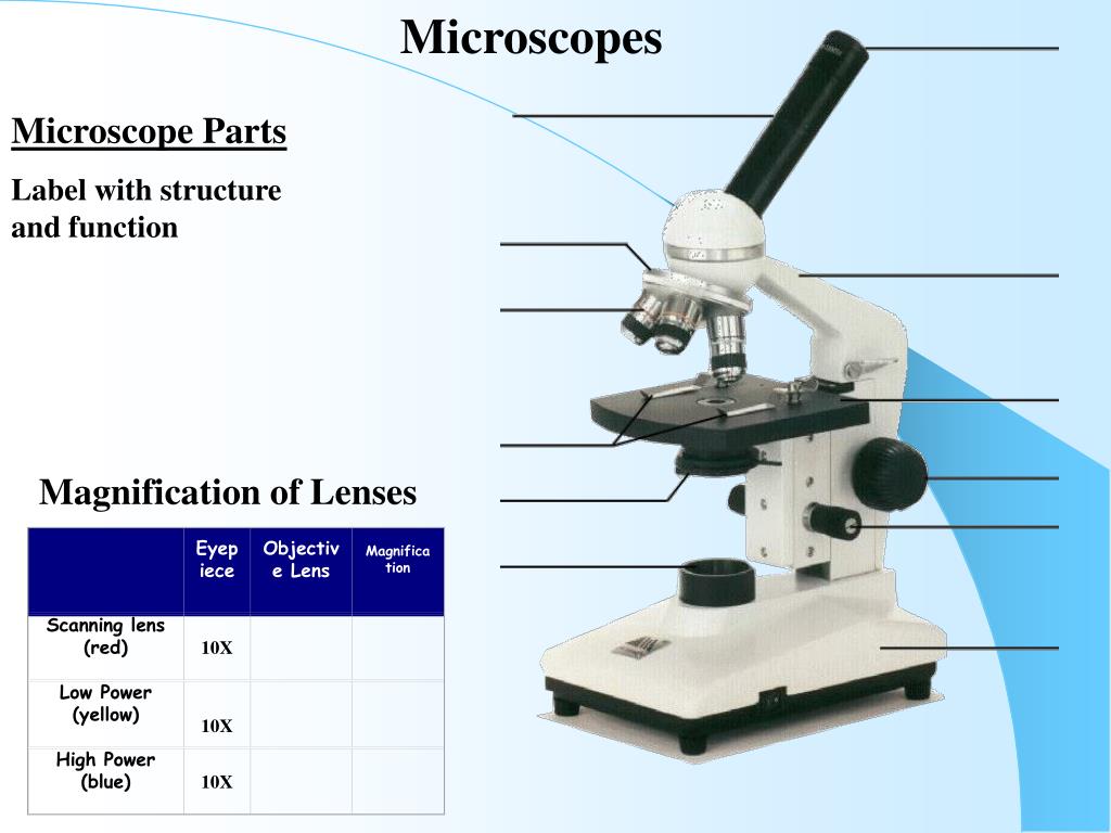 microscope-objective-lens-function-micropedia